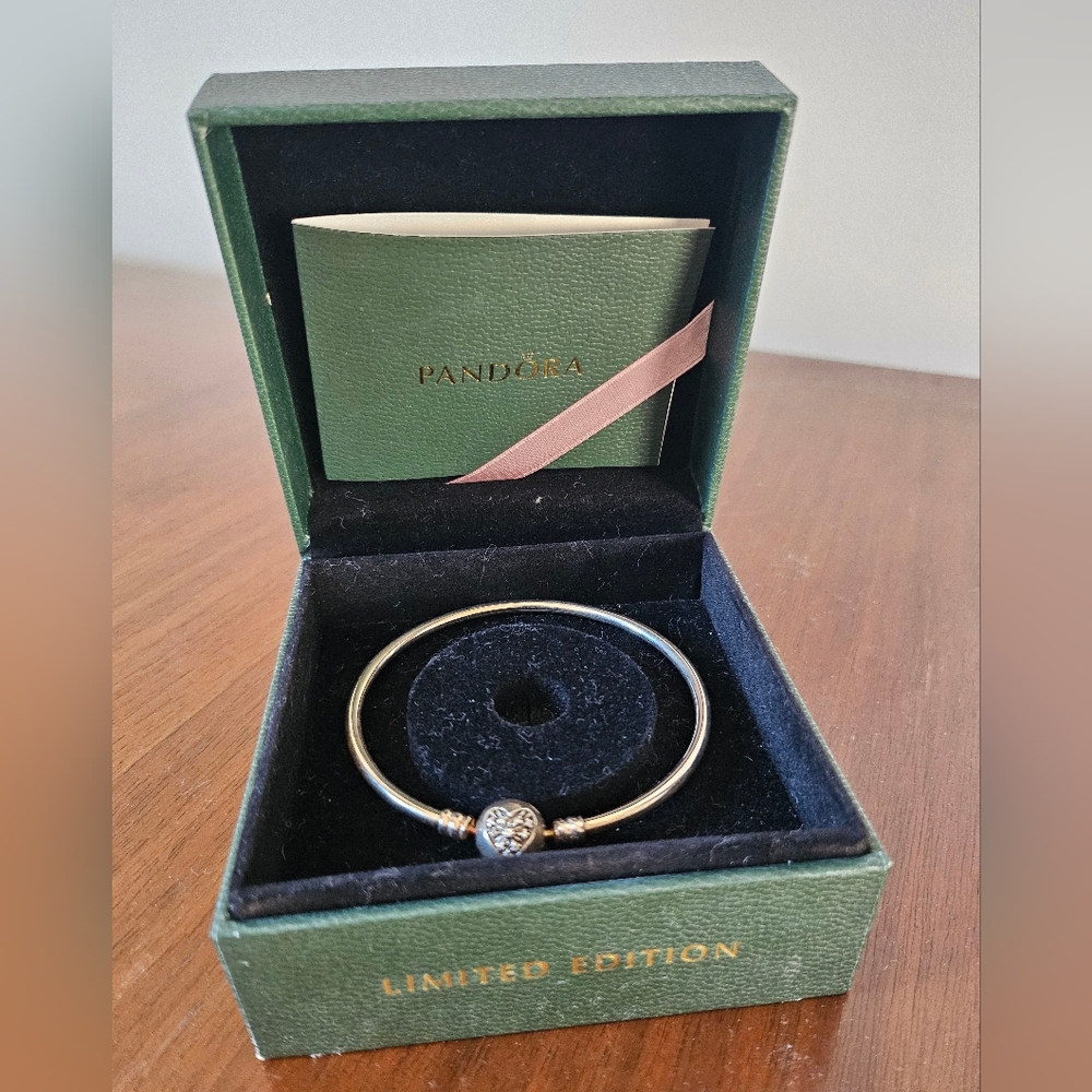 Pandora Silver Bangle